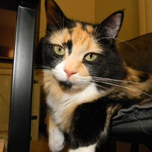 Gallery Photo 24