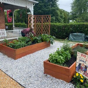 Gallery Photo 26