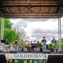 Lotus | Houston’s High-Energy Rock/Pop Cover Band, profile image