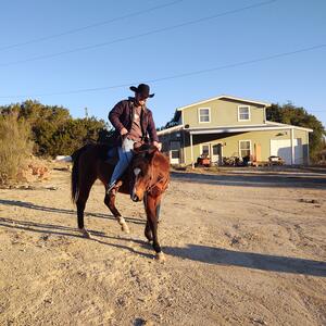Gallery Photo 7