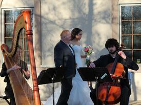 Tiffany Envid Jones - Harpist - Harpist - Columbus, OH - Hero Gallery 2