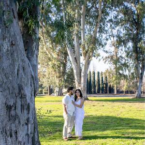 Gallery Photo 16