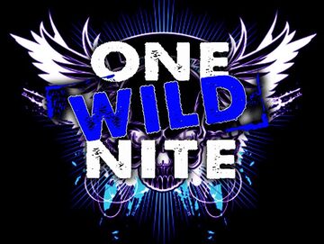One Wild Nite Band - Cover Band - Debary, FL - Hero Main