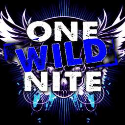 One Wild Nite Band, profile image