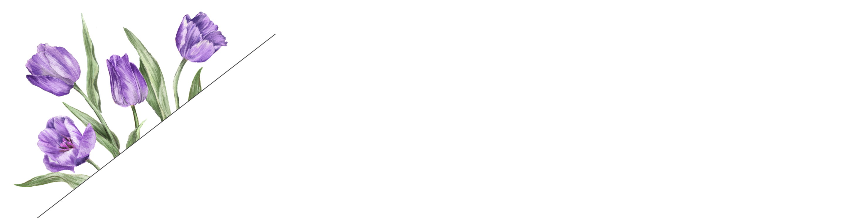 Top Theme Image