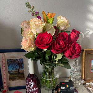 Gallery Photo 4