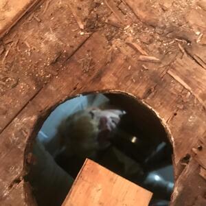 Gallery Photo 24