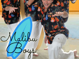 Malibu Boys - Beach Band - Los Angeles, CA - Hero Gallery 1