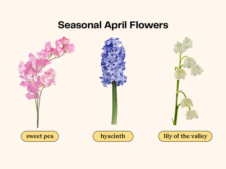 Collage of flowers that are in season for an April wedding. 