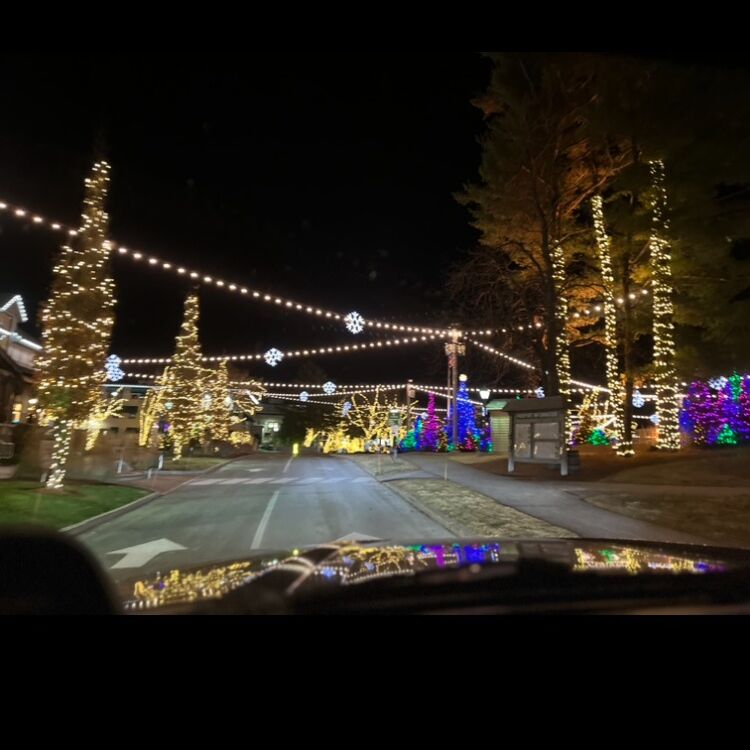 Myron proposed at the most Maine place he could think of... under the Christmas lights at L.L. Bean!