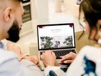 The 9 Best Wedding Websites of 2024