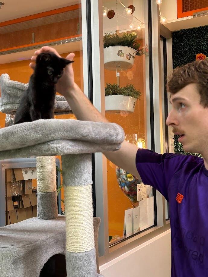 Went to visit some cats at a cat shelter