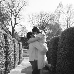 Gallery Photo 8