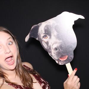 Gallery Photo 31
