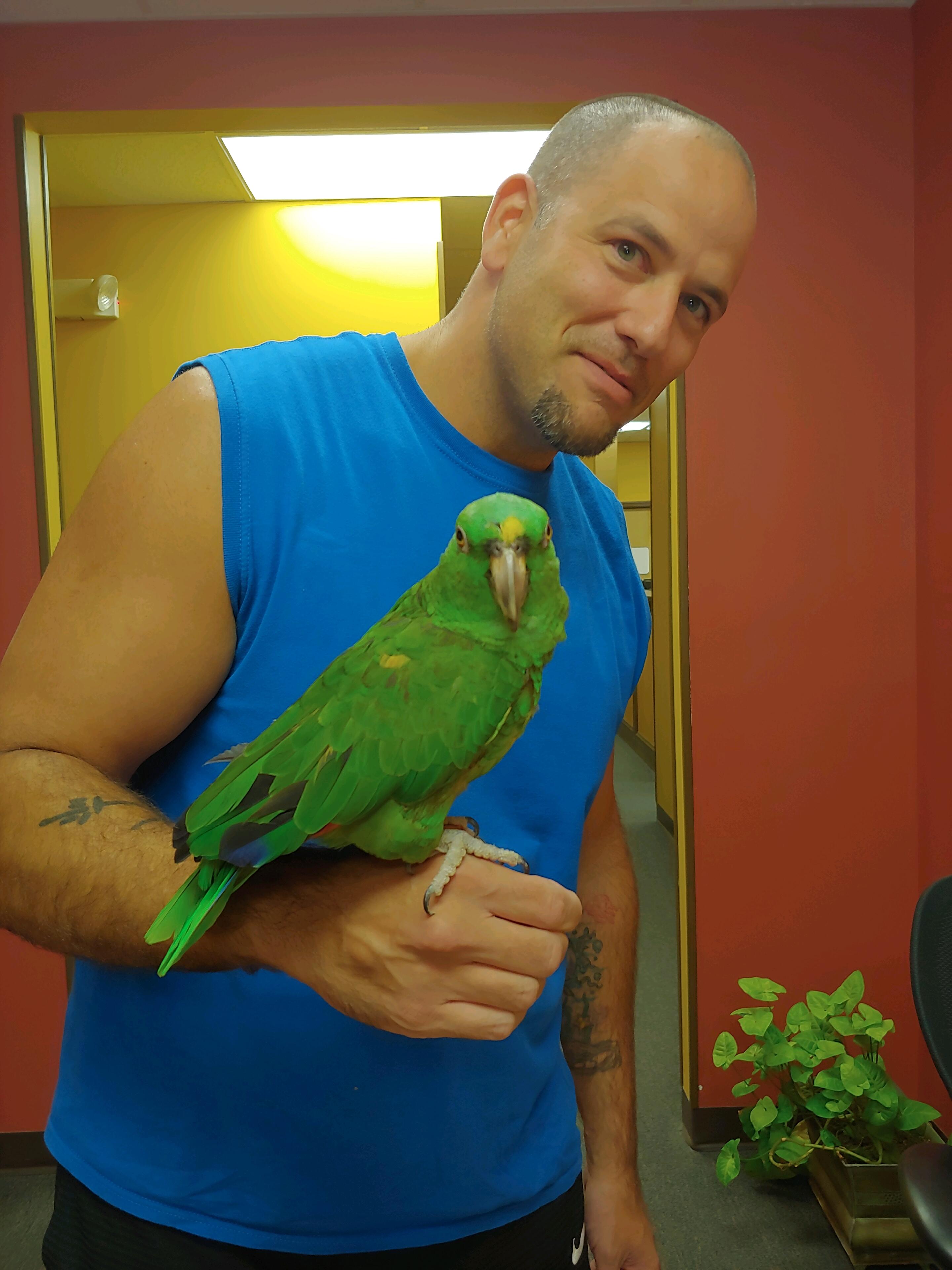 We adopted a 22 year old "toddler for life" Josh! 🦜 
