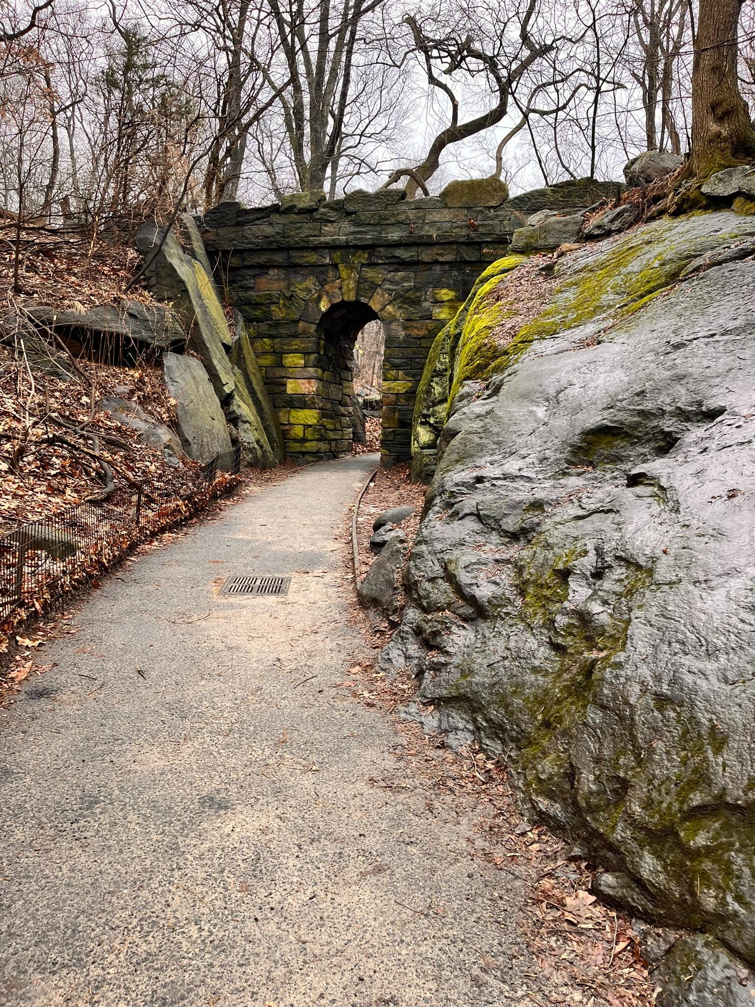 The little bridge/tunnel at Central Park!