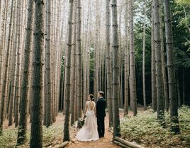 Forest wedding venue in Roxbury, New York.