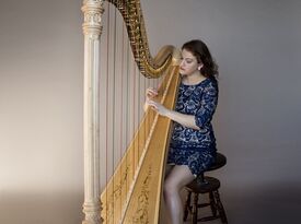 Lisa Marie Kahn - Classical Harpist - Chicago, IL - Hero Gallery 3