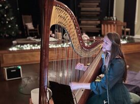 Traveling Harpist - Harpist - Seattle, WA - Hero Gallery 4