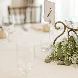 Gallery Photo 481