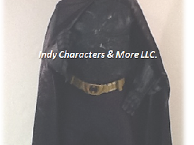 Indy Characters & More LLC. - Costumed Character - Indianapolis, IN - Hero Gallery 2