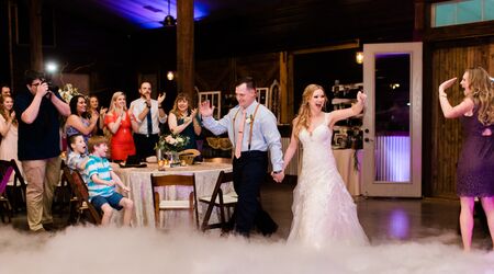 Houston Astros mascot Orbit attends wedding, one-ups bride and groom's ring  game