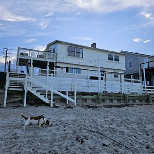 Gallery Photo 10