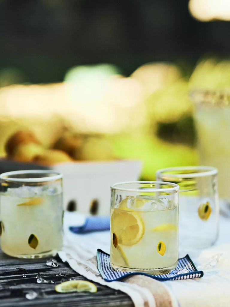 Anthropologie fruit icon juice glasses