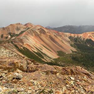 Gallery Photo 30