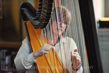 Beth Paré Sherwood, Harpist - Harpist - South Bend, IN - Hero Main