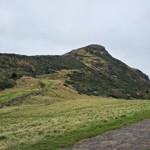 Gallery Photo 369