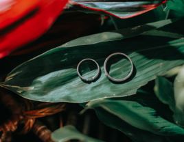 Wedding rings on leaves