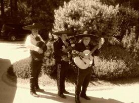  Trio  Alegres Musicales - Mariachi Band - San Jose, CA - Hero Gallery 4