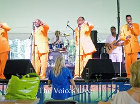The Voices - R&B Band - South Holland, IL - Hero Gallery 2