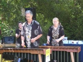 Singing Wood Marimba - Acoustic Band - Santa Cruz, CA - Hero Gallery 3