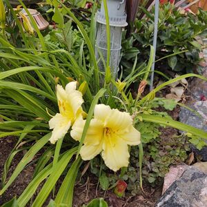 Gallery Photo 27