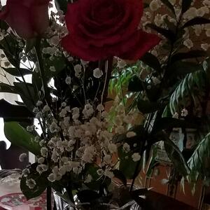 Gallery Photo 36