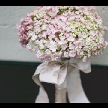 Quince Flowers & Events - Florist - Portland, OR - Hero Main