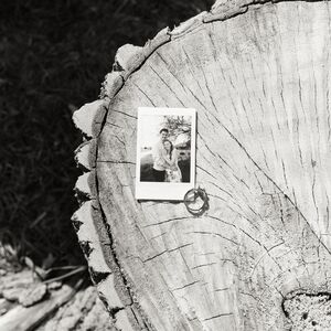 Gallery Photo 45