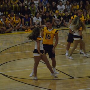 Gallery Photo 46