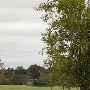 Gallery Photo 1