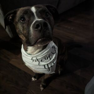 Gallery Photo 4