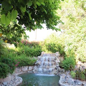 Gallery Photo 11