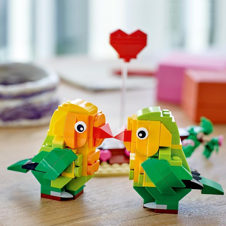 LEGO lovebirds set Valentine's gift for husband