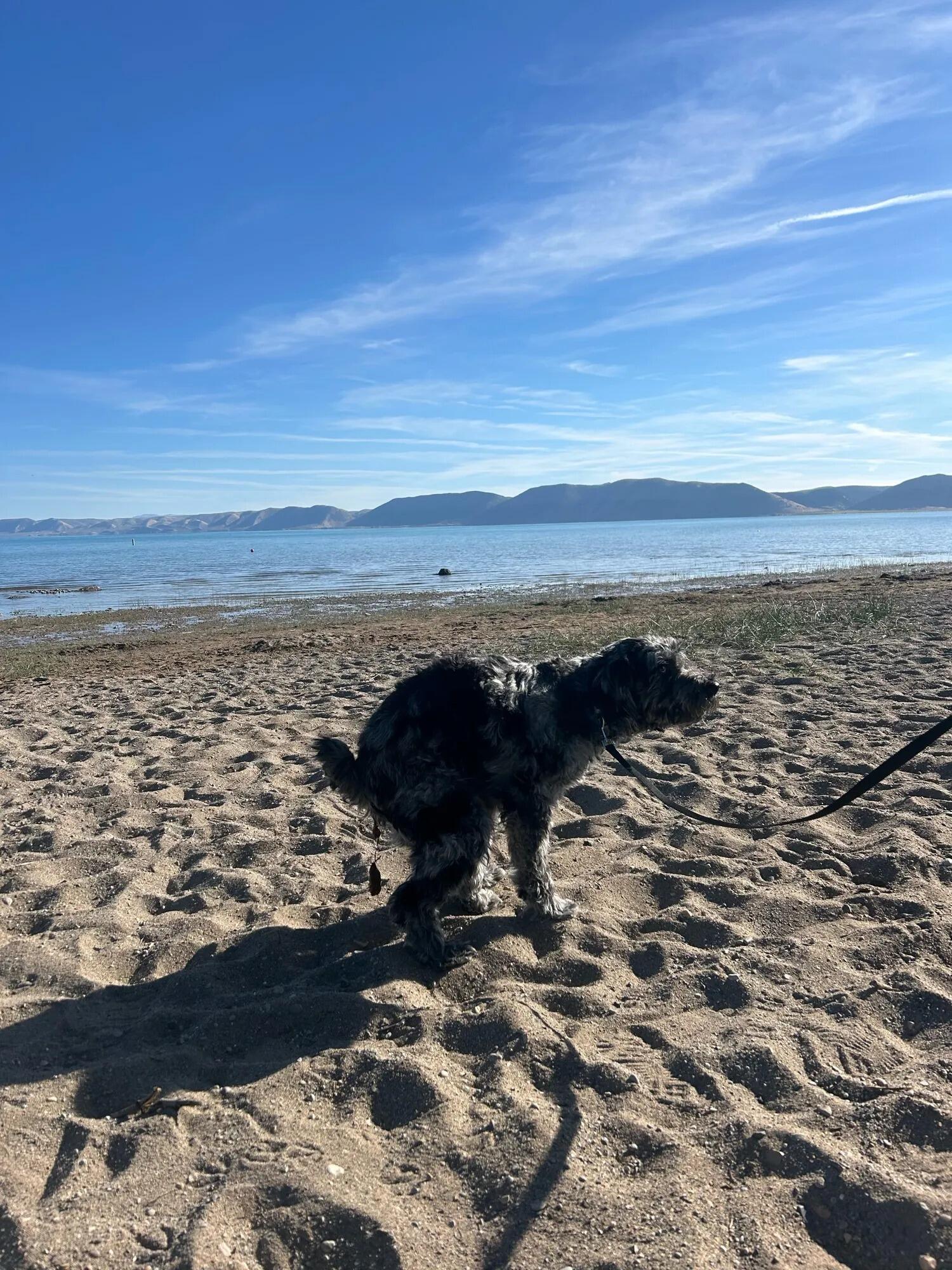 A scenic poo in Bear Lake.