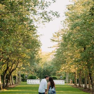 Gallery Photo 24