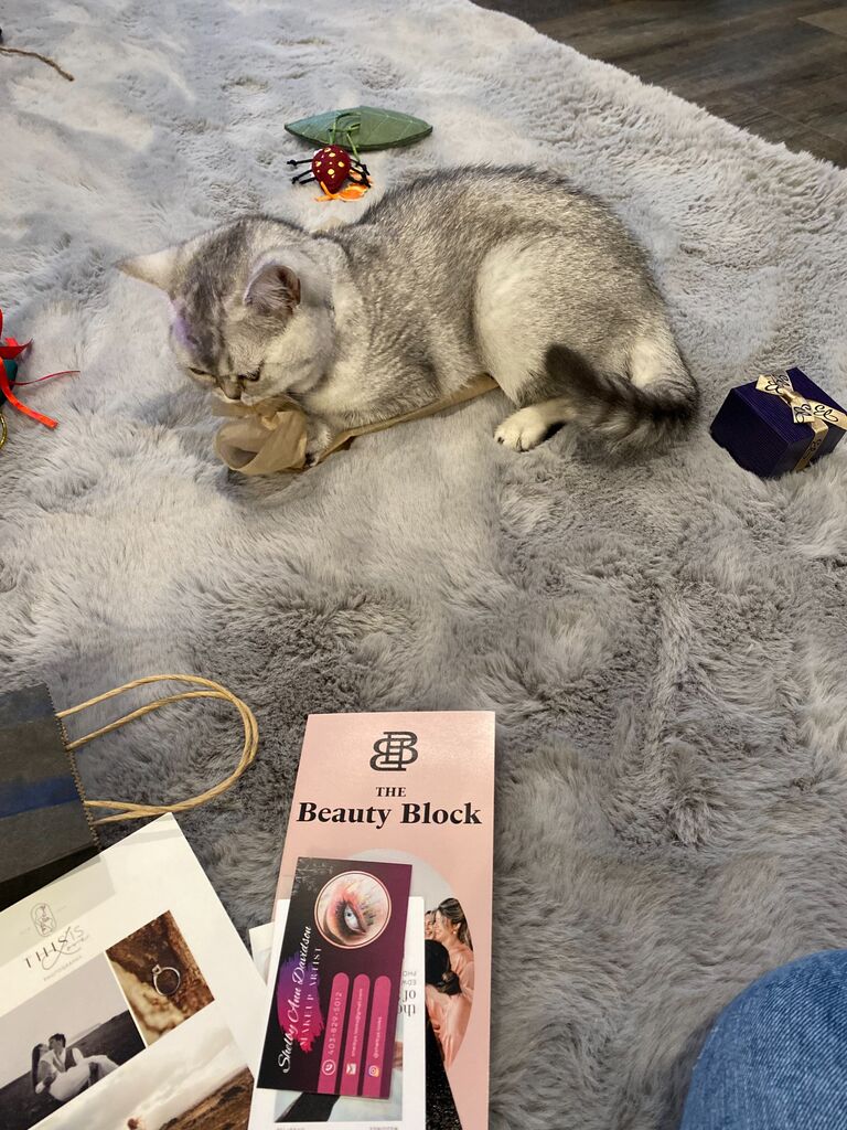 Ginny loves wedding planning! He's Maddie's bestest helper!
