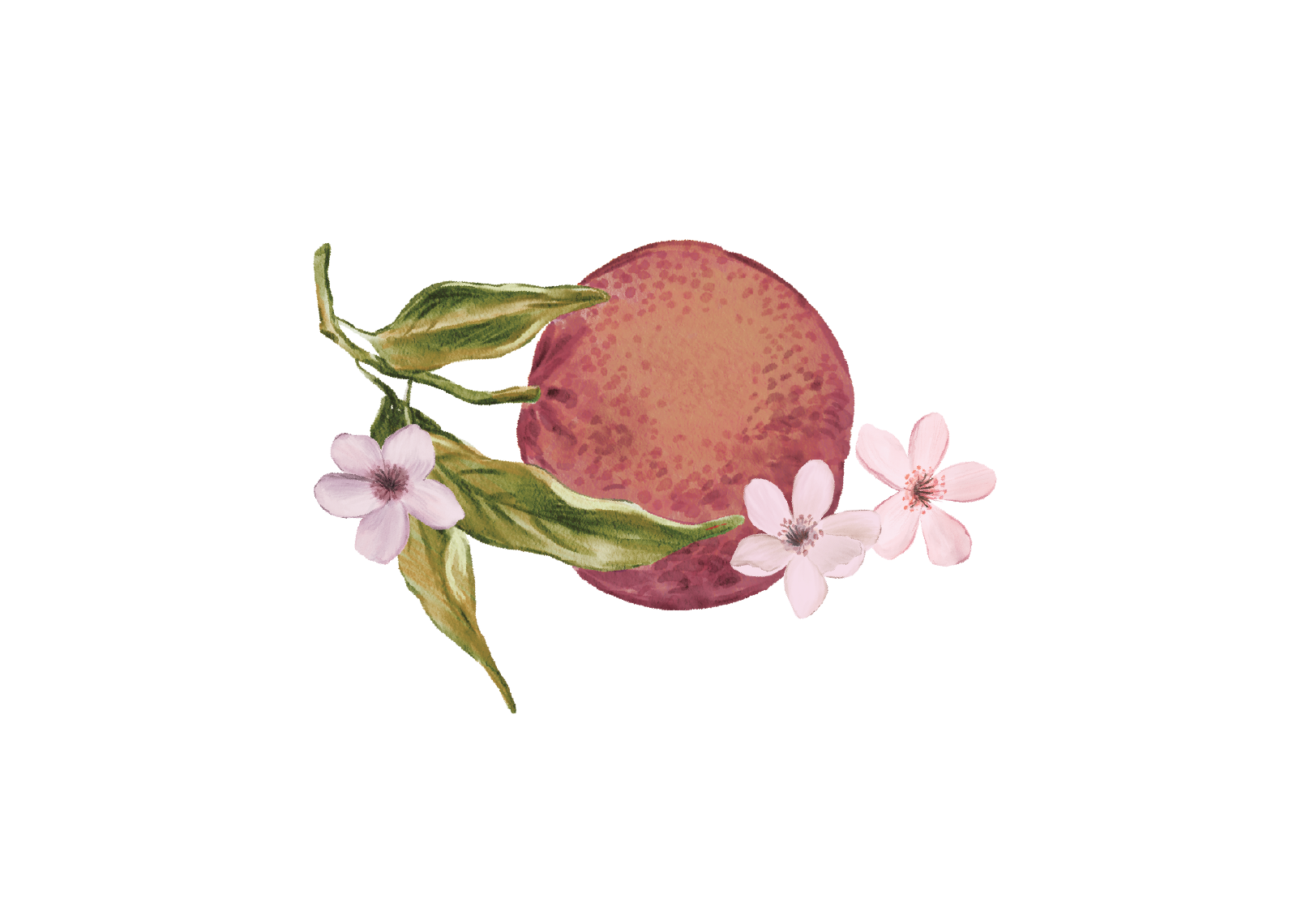 Top Theme Image