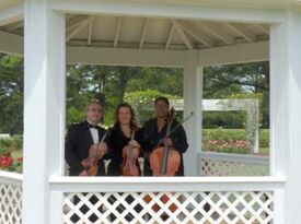 Arte Musicale String Ensemble - String Quartet - Newport News, VA - Hero Gallery 3