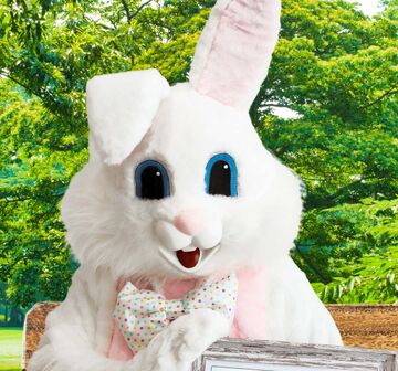 Easter Bunny Rentals By by Funtime Services - Easter Bunny - Naperville, IL - Hero Main
